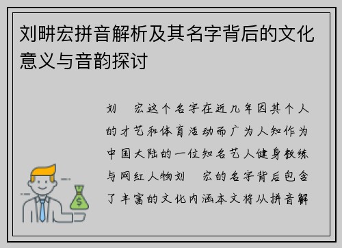 刘畊宏拼音解析及其名字背后的文化意义与音韵探讨